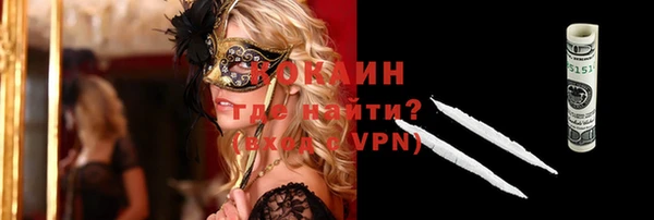 мдпв Карпинск