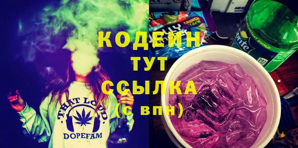 мдпв Карпинск