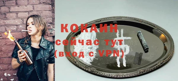 мдпв Карпинск