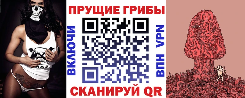 Купить где  Гурьевск  Галлюциногенные грибы Psilocybine cubensis 
